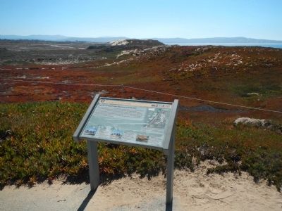 Former Firing Range Becomes a State Park Marker. Click for full size. Former Firing Range Becomes a State Park Marker image. Click for full size.