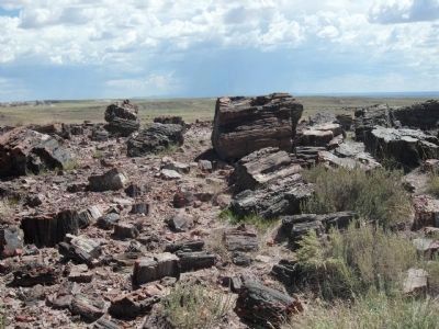 Petrified Forest National Park image. Click for full size.
