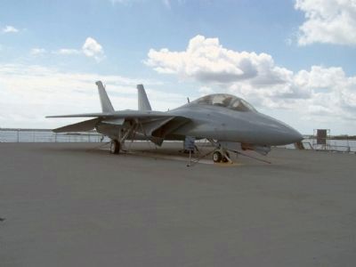 F-14 Tomcat image. Click for full size.