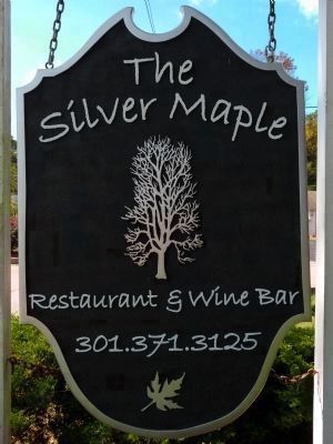 The Silver Maple image. Click for full size.