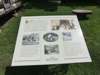 Belle Meade Farm Freedom Marker image. Click for full size.
