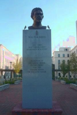Walter Reed Monument, north face image. Click for full size.
