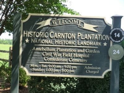 McGavock Confederate Cemetery Marker. Click for full size. McGavock Confederate Cemetery Marker image. Click for full size.