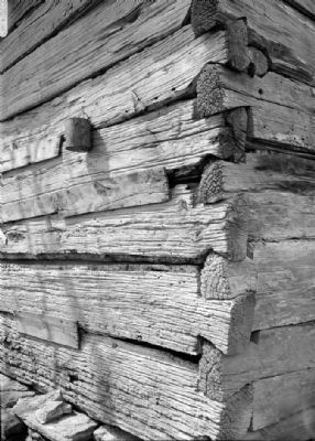 Notched log corner - Stencil House, Smokehouse, Clifton, Wayne County, TN image. Click for full size.