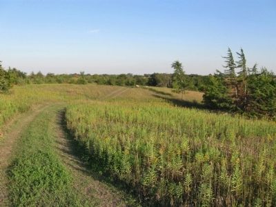 Wood Lake Battlefield. Click for full size. Wood Lake Battlefield image. Click for full size.