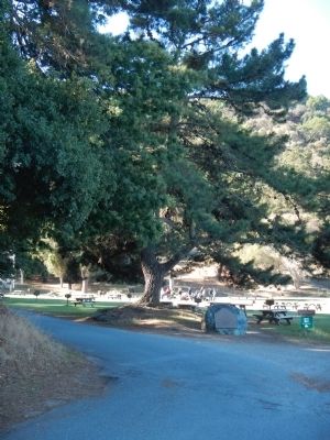 Angel Island Marker. Click for full size. Angel Island Marker image. Click for full size.