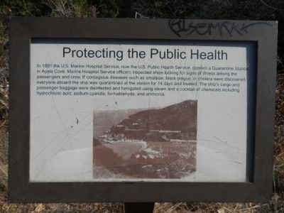 Protecting the Public Health Marker. Click for full size. Protecting the Public Health Marker image. Click for full size.