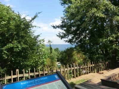 Raccoon Mountain Marker. Click for full size. Raccoon Mountain Marker image. Click for full size.