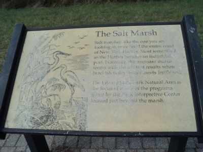 The Salt Marsh Marker image. Click for full size.