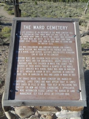 The Ward Cemetery Marker image. Click for full size.