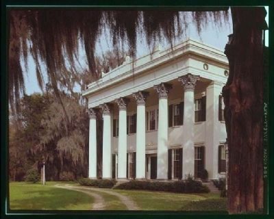 Millford Plantation image. Click for full size.