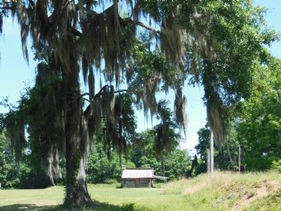 Fort Jackson reproduction (south side) image. Click for full size.