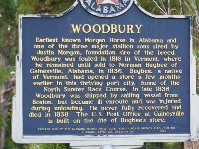 Woodbury Marker image. Click for full size.