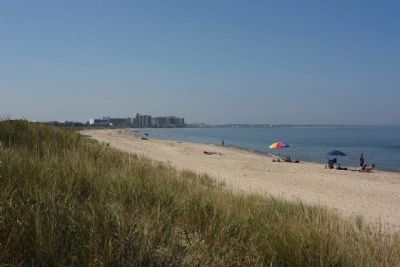 First Landing State Park beachfront. Click for full size. First Landing State Park beachfront image. Click for full size.