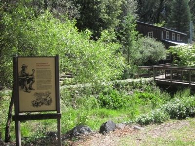 Hangtown’s Gold Bug Park Marker. Click for full size. Hangtown’s Gold Bug Park Marker image. Click for full size.