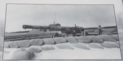 Right Image: image. Click for full size.