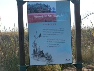 Island in the Marsh: a hummock Marker. Click for full size. Island in the Marsh: a hummock Marker image. Click for full size.