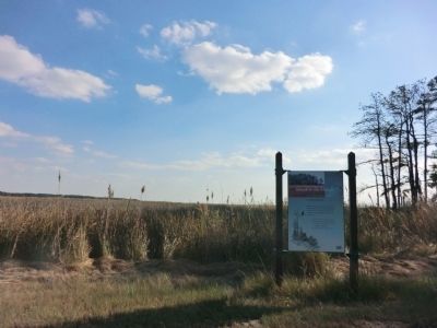 Island in the Marsh: a hummock Marker. Click for full size. Island in the Marsh: a hummock Marker image. Click for full size.