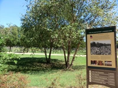 The Plantaton Landscape Marker. Click for full size. The Plantaton Landscape Marker image. Click for full size.