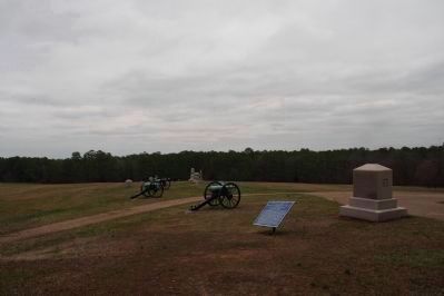 Battlefield Monuments in Snodgrass Field image. Click for full size.