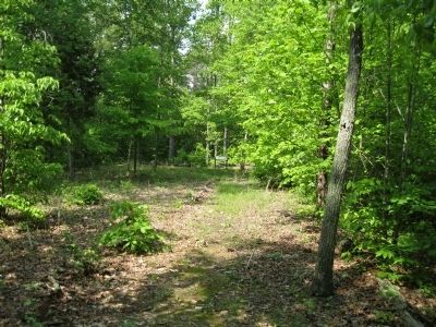 Fortifications at Beech Grove Marker. Click for full size. Fortifications at Beech Grove Marker image. Click for full size.