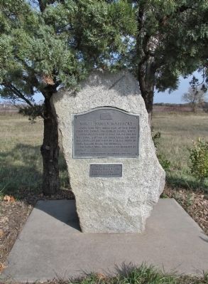 White Family Massacre Marker image. Click for full size.