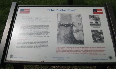 The Zollie Tree Marker. Click for full size. The Zollie Tree Marker image. Click for full size.