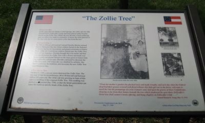 The Zollie Tree Marker image. Click for full size.