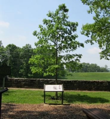 The Zollie Tree Marker. Click for full size. The Zollie Tree Marker image. Click for full size.