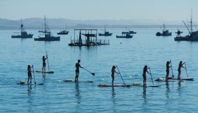 A group of paddleboarders enjoying a day on the bay. Click for full size. A group of paddleboarders enjoying a day on the bay image. Click for full size.