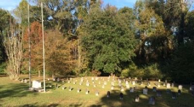 Confederate Graves image. Click for full size.