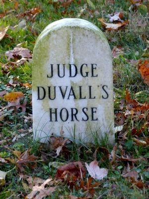 Judge Duvall's Horse image. Click for full size.