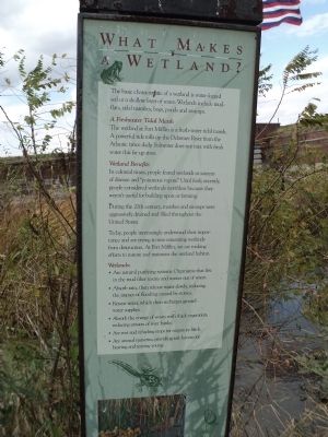 What Makes Wetlands?	 Marker image. Click for full size.