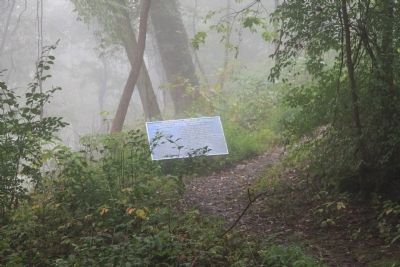 Whitaker's Brigade Marker. Click for full size. Whitaker's Brigade Marker image. Click for full size.
