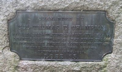 96th Illinois Infantry Marker. Click for full size. 96th Illinois Infantry Marker image. Click for full size.