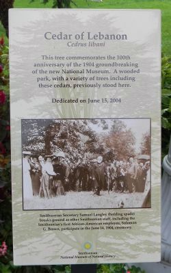 Cedar of Lebanon Marker image. Click for full size.