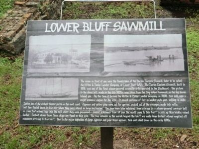 Lower Bluff Sawmill Marker image. Click for full size.