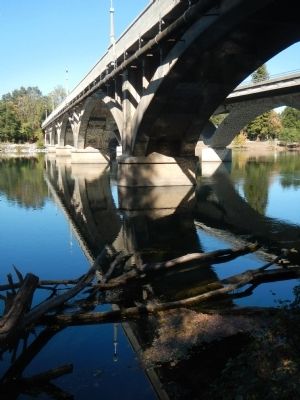 Diestelhorst Bridge image. Click for full size.