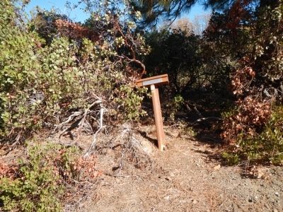 Nobles Trail – Junction Marker. Click for full size. Nobles Trail – Junction Marker image. Click for full size.