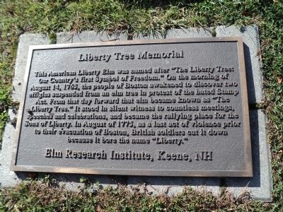 Liberty Tree Memorial Marker image. Click for full size.