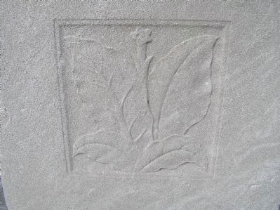 Relief carving of tobacco on Original Patentees Memorial Marker image. Click for full size.