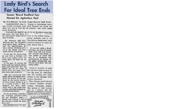 Mention of the original tree planting on May 2, 1966. image. Click for full size.