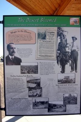 The Desert Bloomed Marker image. Click for full size.
