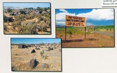 Petrified Melons image. Click for full size.