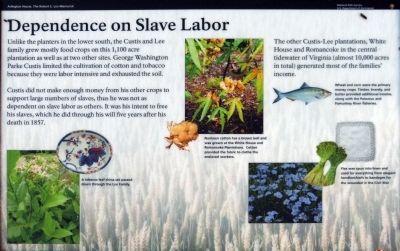 Dependence of Slave Labor Marker image. Click for full size.