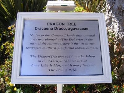 Original Dragon Tree Marker. Click for full size. Original Dragon Tree Marker image. Click for full size.