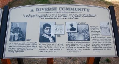 A Diverse Community Marker image. Click for full size.