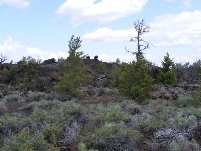 Devil's Orchard Trail image. Click for full size.
