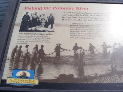 Fishing the Potomac River Marker image. Click for full size.