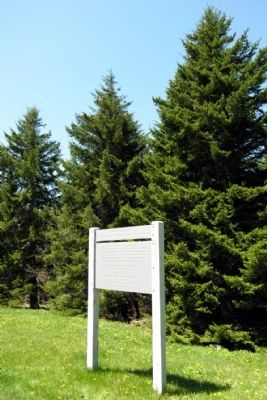 North Carolina Confederate Veterans Memorial Forest image. Click for full size.